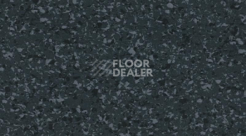 Линолеум Gerflor Mipolam Affinity 4460 Black Stone фото 1 | FLOORDEALER